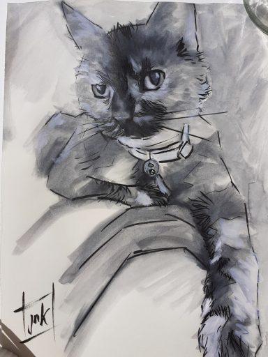 Cat Portrait by Jim Kook