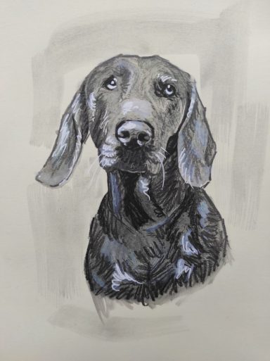 Dog Sketch Portrait by Jim Kook