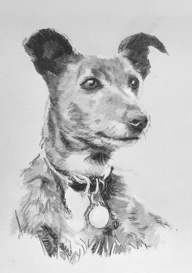 Pet Portrait by Jim Kook