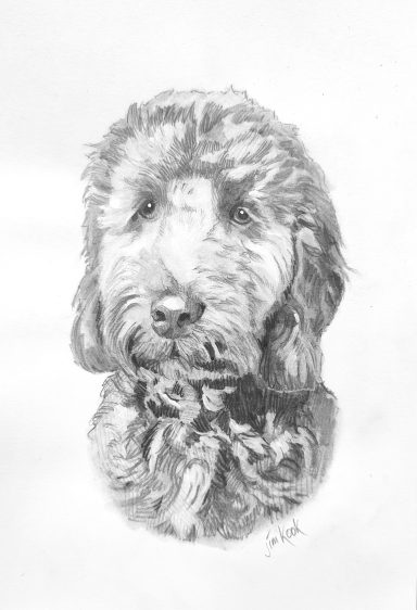 Dog Portrait by Jim Kook